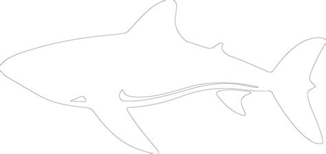 Shark Outline Vector Art, Icons, and Graphics for Free Download