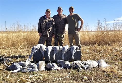 Best Guided Texas Sandhill Crane Hunts Mallard Bay