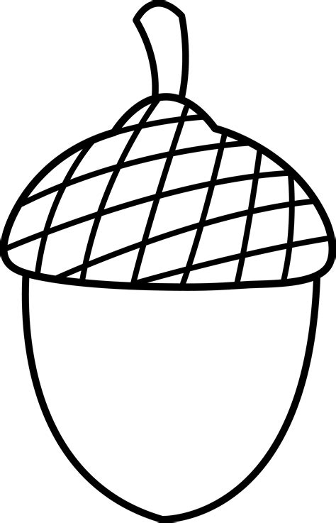 Acorn Coloring Page at GetColorings.com | Free printable colorings ...