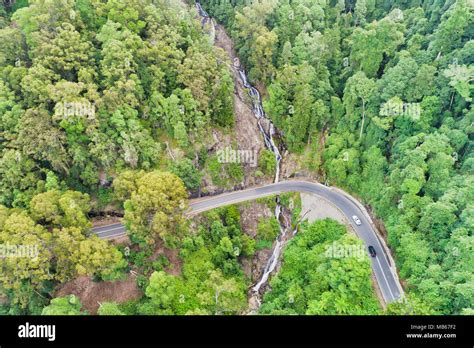 DOrrigo national park unique ancient Gondwana rainforest cut by ...