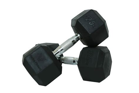 Harley Fitness Premium Rubber Coated Bouncing Hex Dumbbells 12 5 Kg Pair Jomla Ae