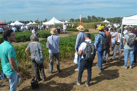 La Agricultura Moderna Es Con Biológicos Paralelo32