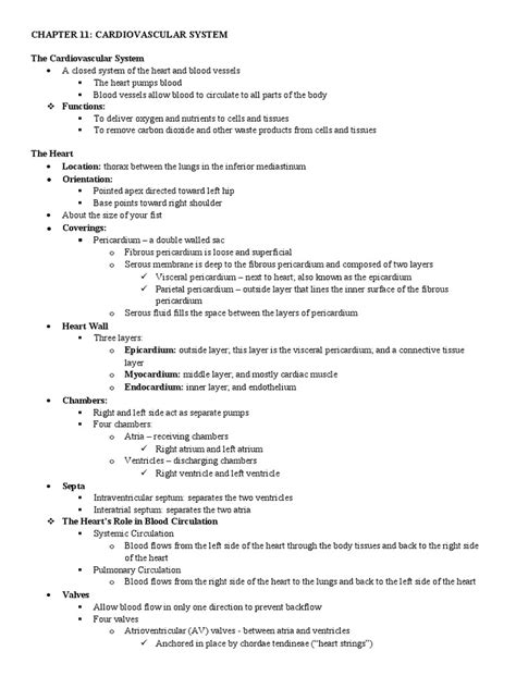 Chapter 11 Cardiovascular System Pdf Heart Heart Valve