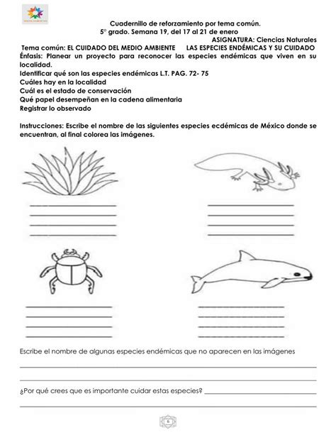 Pdf Cuadernillo De Reforzamiento Por Tema Común 5° Grado Dokumentips