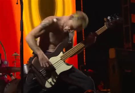 What bass is Flea playing here? | TalkBass.com