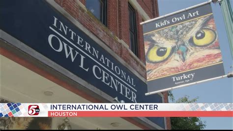 Bird Week: International Owl Center in Houston - KSTP.com 5 Eyewitness News