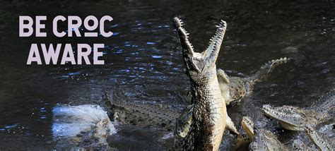 How to Survive a Crocodile Attack - Crocodilian Safety Guide