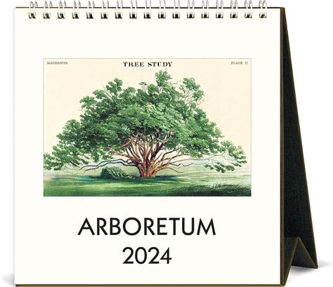 Cavallini Co Arboretum Easel Desk Calendar Amazon Co Uk