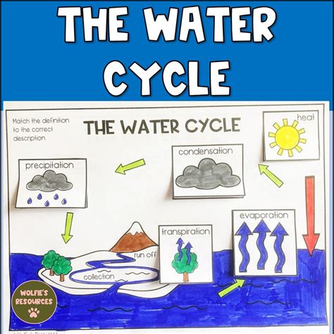 Water Cycle Diagram and Activity - Etsy