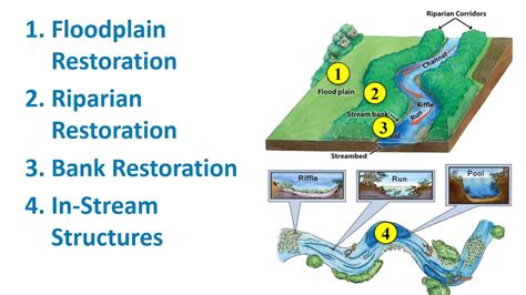 48 Stream And Floodplain Restoration Best Management Practices