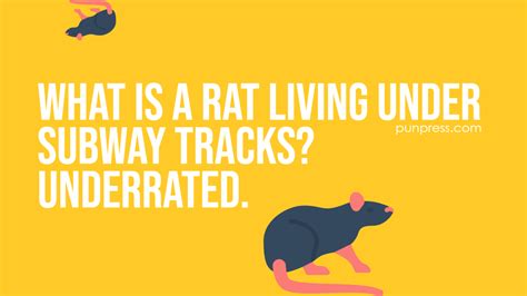 51 Rat Puns That Will Make You Laugh Micely Punpress