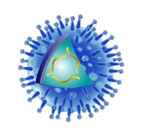 Anatomía Del Virus De La Gripe De La Gripe Stock de ilustración