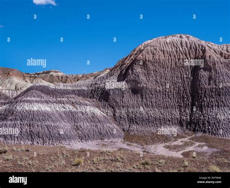 Blue Mesa Badlands Petrified Forest Hi Res Stock Photography And Images