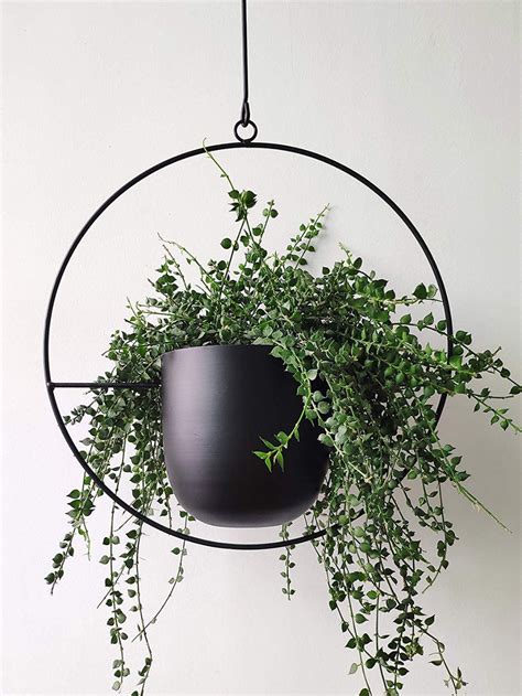 Riseon Boho Black Metal Plant Hanger Metal Wall And Ceiling Hanging