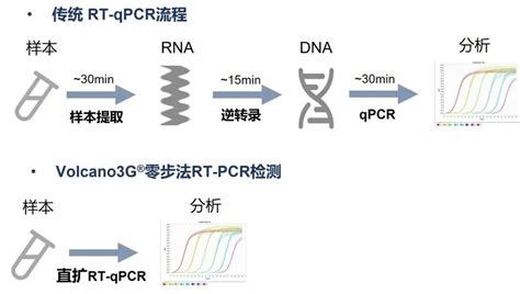 兼具逆转录和聚合酶两种活性的酶， 您见过吗 ？ 上海优宁维生物科技股份有限公司