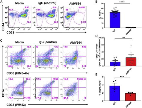 Amv Reduces Cd Hi Cells And Improve Colony Formation Potential In