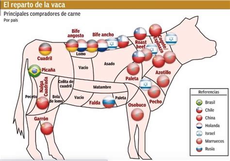 Cortes De Carne Argentinos De Carne Vacuna