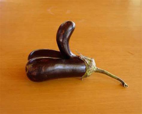 19 Fruits And Vegetables That Look Like Sexy Body Parts Gallery Ebaums World