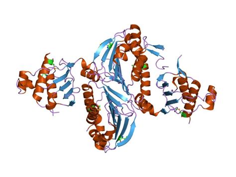 Germ-line mutation; Mutation, Germ-Line