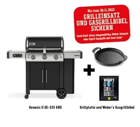 Leicht Zu Reinigende Weber Genesis Ii Ex Gbs Holen Sie Sich Ihres