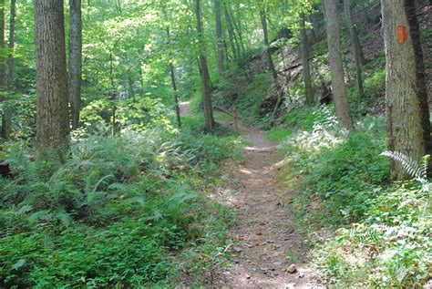 Featured Hike: Little Mountain Falls at Fairy Stone State Park