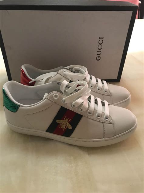 Tenis Gucci Nuevos Talla 37 4mx 7 985 00 En Mercado Libre