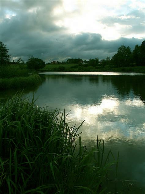 Pond,water,reflection,sky,evening - free image from needpix.com