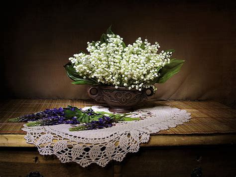 Fotografía Naturaleza muerta Tazón Lirio de los valles Flor blanca