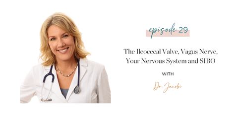 Ep The Ileocecal Valve Vagus Nerve Your Nervous System And Sibo