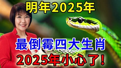 明年2025年最倒霉四大生肖！2025這四個生肖要小心了！再忙再有錢也要看看！【運勢上上籤】生肖 運勢 財運 風水 Youtube