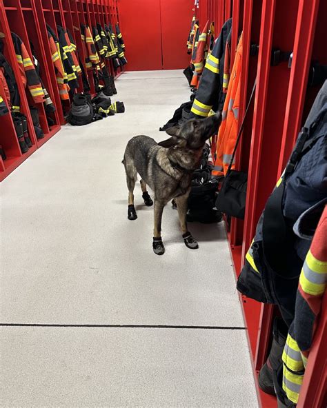 Kapo Schwyz Feuerwehr K Ssnacht Als Trainingsort F R Sp Rhunde