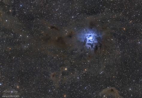 Iris Nebula NGC 7023 Astrocat