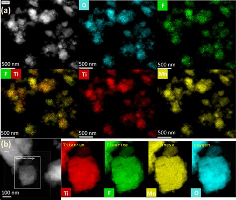 A Edx Mapping With A Large Field Of View And B Eels Mapping Using A