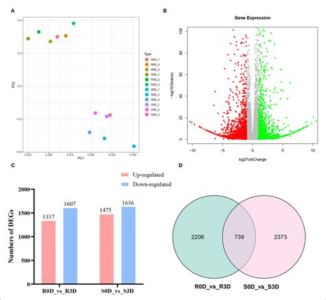 Comparative Transcriptome Analyses For Differentially Expressed Genes