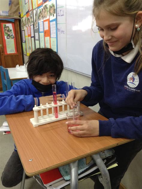 Experimentos en clases de Ciencias CM 1 B Lycée Claude Gay OSORNO