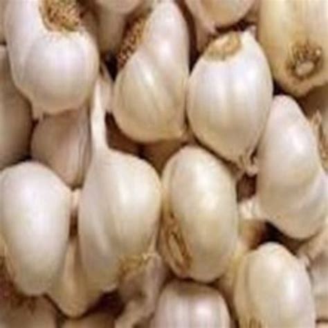 Rich Natural Taste Healthy White Fresh Garlic With Pack Size Kg At