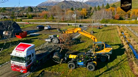 Oak Project Quercus Robur Easy Big Trees New Zealand