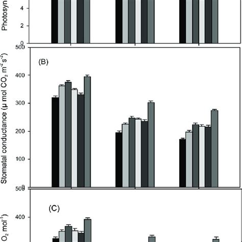 Photosynthetic Rate A Stomatal Conductance B And Intercellular CO