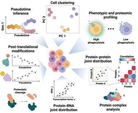 Untangling The Complexities Of Single Cell Protein Analysis Inside