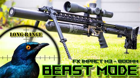 Long Range Short Range Airgun Hunting FX Impact M3 800mm FX