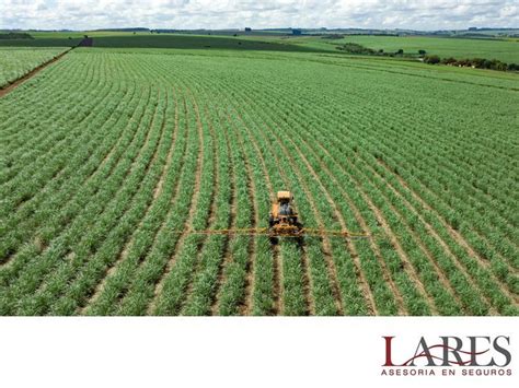 SEGUROS PARA AGRO El seguro agrícola es la herramienta que incentiva a