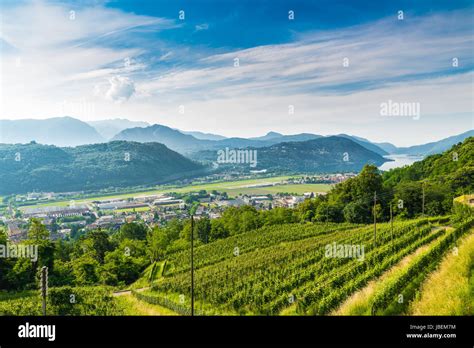 Agno, Switzerland. View of Agno, Lake Lugano, Lugano Airport, vineyards on the hills surrounding ...