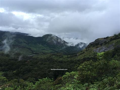 Travel Guide To Eravikulam Rajamalai National Park Munnar Kerala