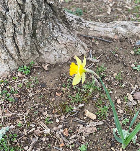 Holly Harrington (@thehonestlyholly) • Instagram photos and videos