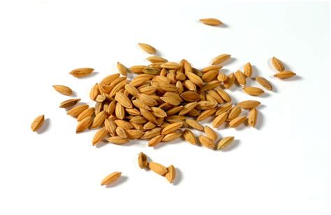 Rice bran Facts, Health Benefits and Nutritional Value