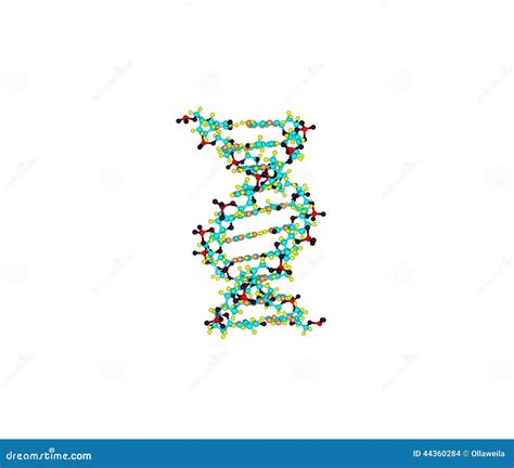 Dna Helix Molecule Isolated On White Stock Illustration Illustration