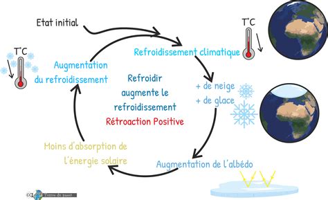 Rétroaction positive Boucle de Jargon Scientifique