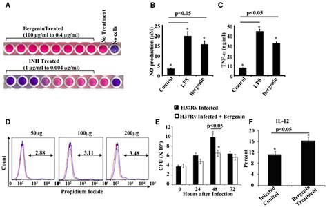 Frontiers The Phytochemical Bergenin Enhances T Helper 1 Responses