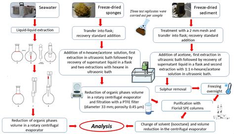 Frontiers Chemical And Microbiological Insights Into Two Littoral