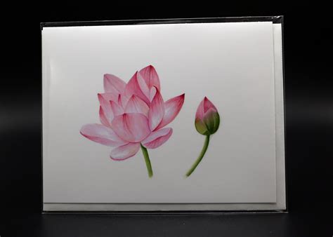 Lotus Blossom, Watercolor Painting - Etsy